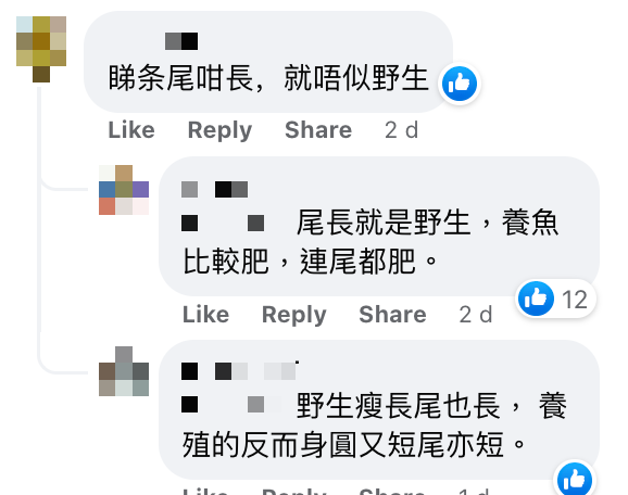 野生海黃花賣$4800一條震驚網民惹熱議 專家曾指因一個原因令價錢變到咁貴！