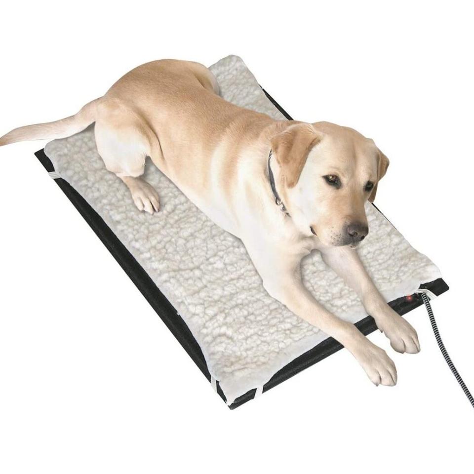 Farm Innovators Heated Pet Mat