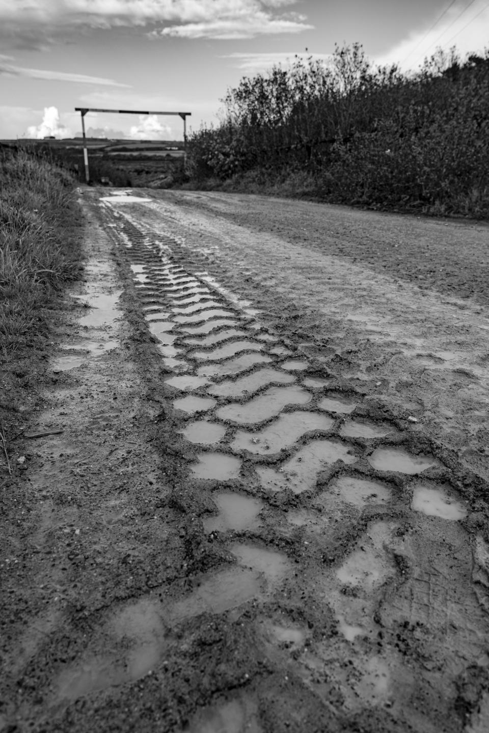 Tire tracks through a muddy field in black and white shot on a Leica 24-70mm Vario-Elmarit-SL f/2.8 ASPH
