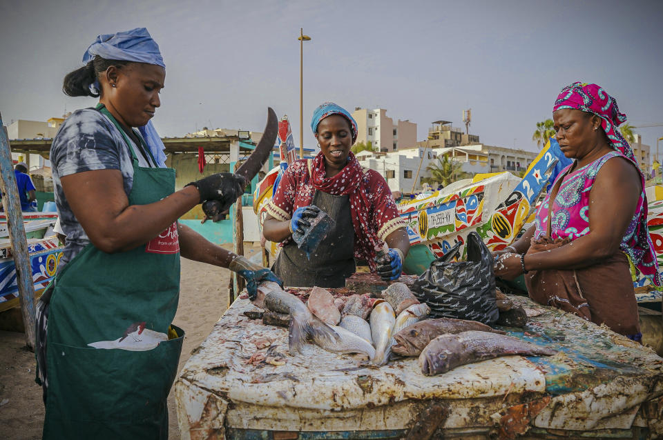 Fishmongers cut and clean fish at the Soumbedioune fish market in Dakar, Senegal, May 31, 2022. In Senegal, fish and seafood represent more than 40% of the animal protein intake in the diet. According to a U.S. report, one in six people work in the fisheries sector. (AP Photo/Grace Ekpu)