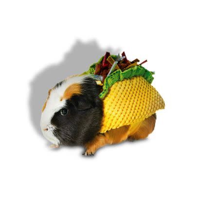 Guinea Pig Taco Costume