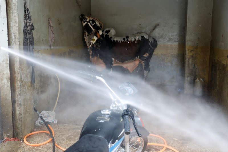 A worker washes a motorbike while a bull waits inside for a spray wash, at an automobile service station, in Karachi