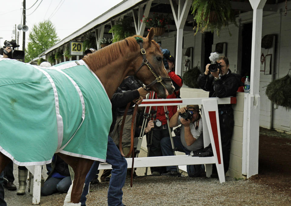 California Chrome walks into Barn 20 at Churchill Downs for the Kentucky Derby in Louisville, Ky., Monday, April 28, 2014. California Chrome has won his last four races by a combined 24 ¼ lengths. (AP Photo/Garry Jones)