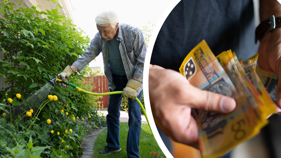 Pictured: Man waters garden with hose, Australian cash in hands. Images: Getty