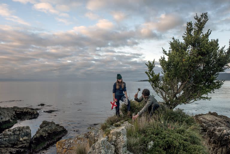 The biologists Toby Kiers, left, and Merlin Sheldrake take soil samples along the coast of Chaihuin, in Chile, on April 15, 2022. Kiers and her team of researchers are probing a vast and poorly understood universe of underground fungi that can be vital, in her view, in the era of climate change. (Tomas Munita/The New York Times)