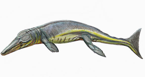 The ancient newfound crocodilian <em>Tyrannoneustes lythrodectikos</em> (shown here in an artist's rendering) would have devoured giant prey some 165 million years ago.