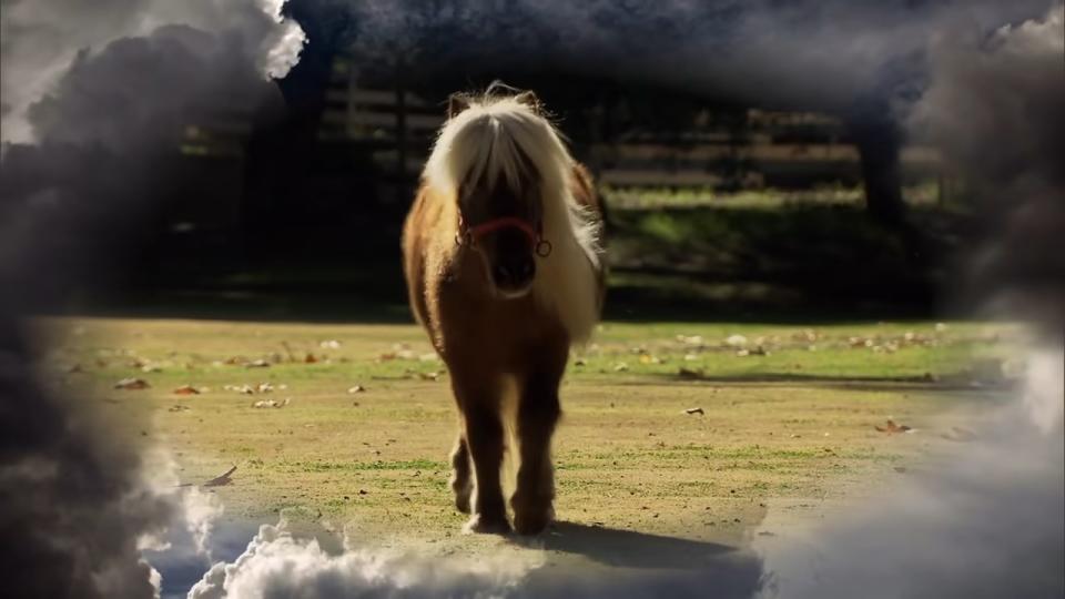 Lil' Sebastian walking in a field with clouds around the frame in "Parks and Recreation"