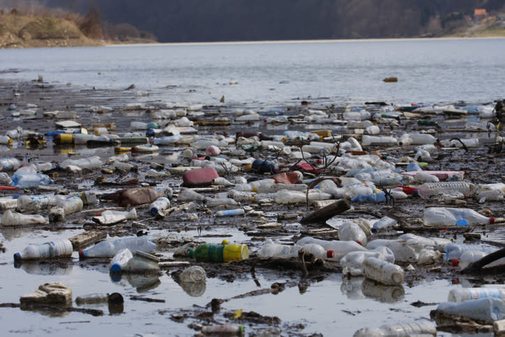 A shoreline filled with trash