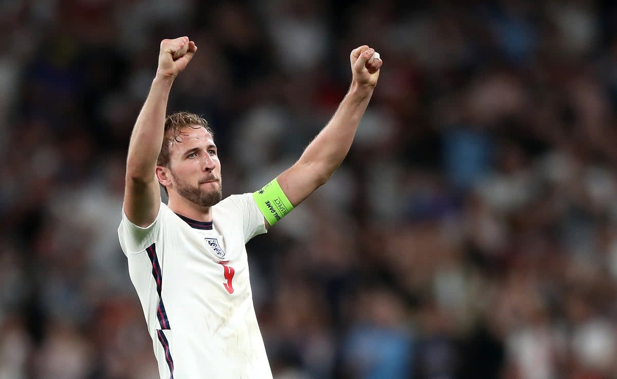 Harry Kane is currently on 49 goals for England (Nick Potts/PA) (PA Wire)