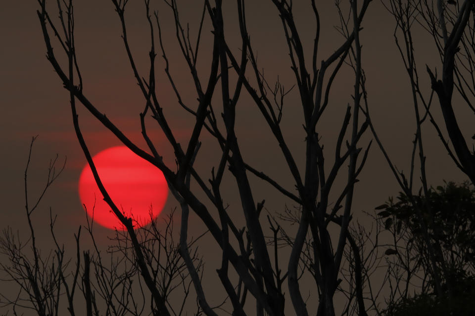 DEVASTACIÓN POR INCENDIOS EN AUSTRALIA