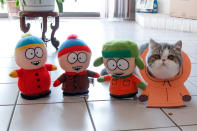 <p>Kenny McCat (McCormick) from South Park. Shirley, from Toronto, decided to document her beloved moggies’ daily cat-tivities, and later came up with the idea of dressing them up in hilarious handmade costumes.” (Photo: DailySnoopy/Caters News) </p>