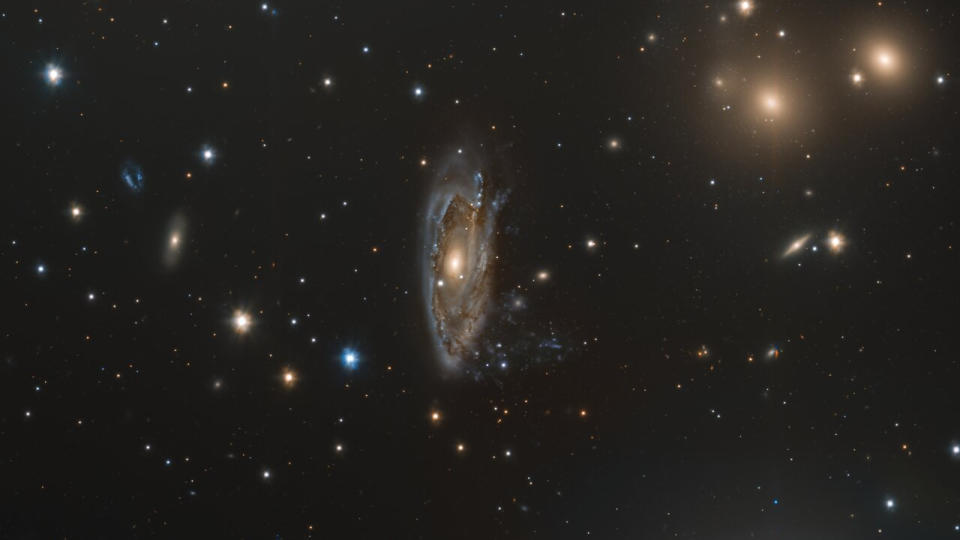     Eine dünne Galaxie aus blauem und goldenem Gas hängt im Weltraum, im Zentrum vieler anderer schimmernder Lichtpunkte unterschiedlicher Größe. 