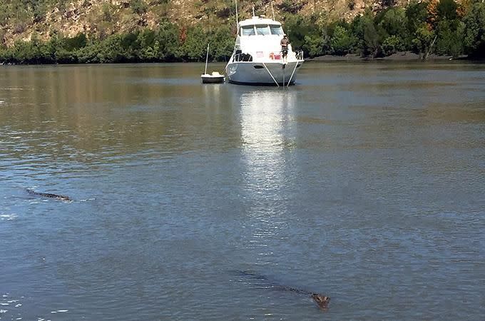 The crocs look pretty big. Photo: Caters News