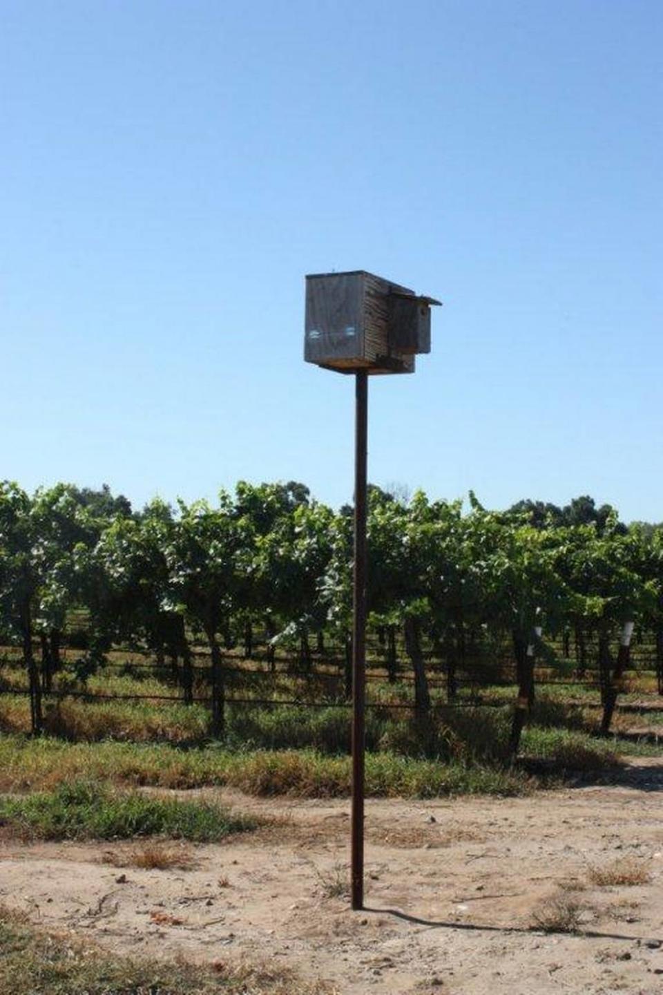 Wooden boxes attract owls that help control pests on the Cowell Ranch vineyard near Snelling. It is one of many practices cited in an April 2023 sustainability report from E. & J. Gallo Winery of Modesto.