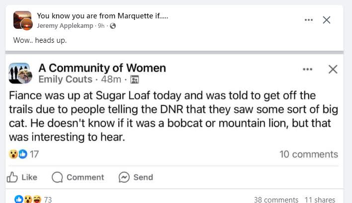 Screenshot of Facebook post claiming cougar sighting