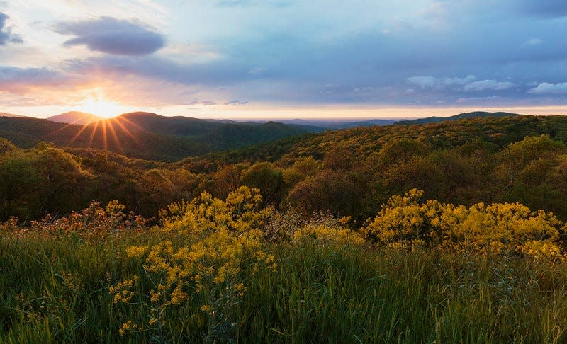 Spring colors in foreground at Thornton Hollow Overlook at sunrise.