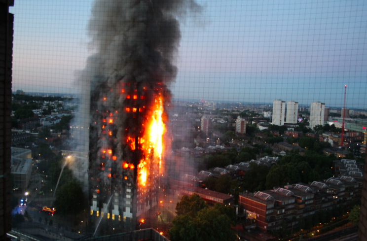 Several animals became separated from their owners in the Grenfell Tower fire (Rex)