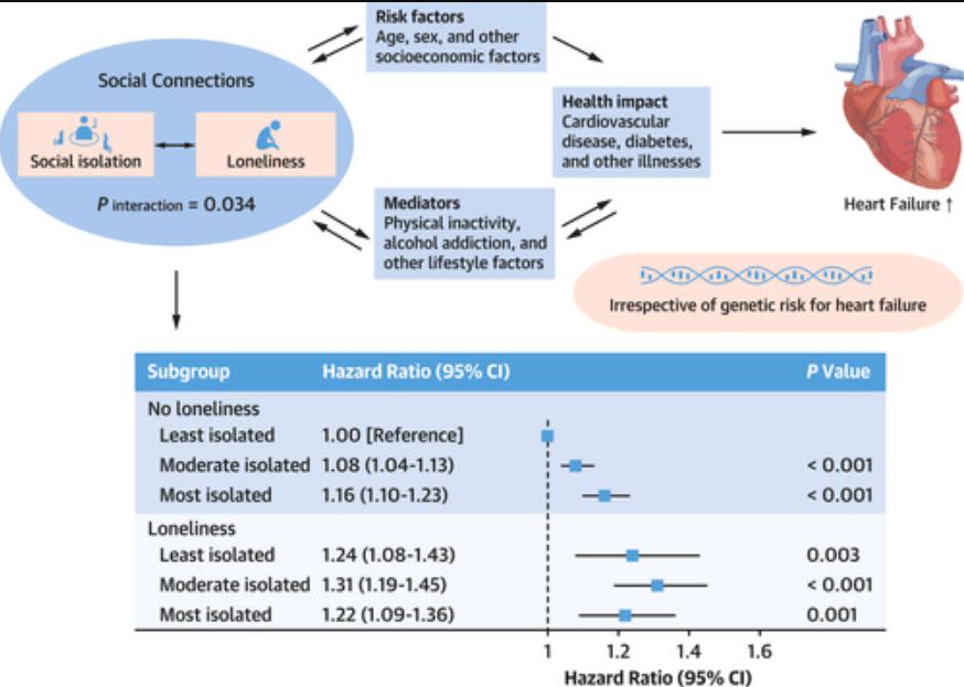 Datos del estudio con el impacto en la salud cardiovascular de factores socioeconómicos como el aislamiento y la soledad | Goodlin, Sarah J., Sheldon H. Gottlieb. JACC: Heart Failure