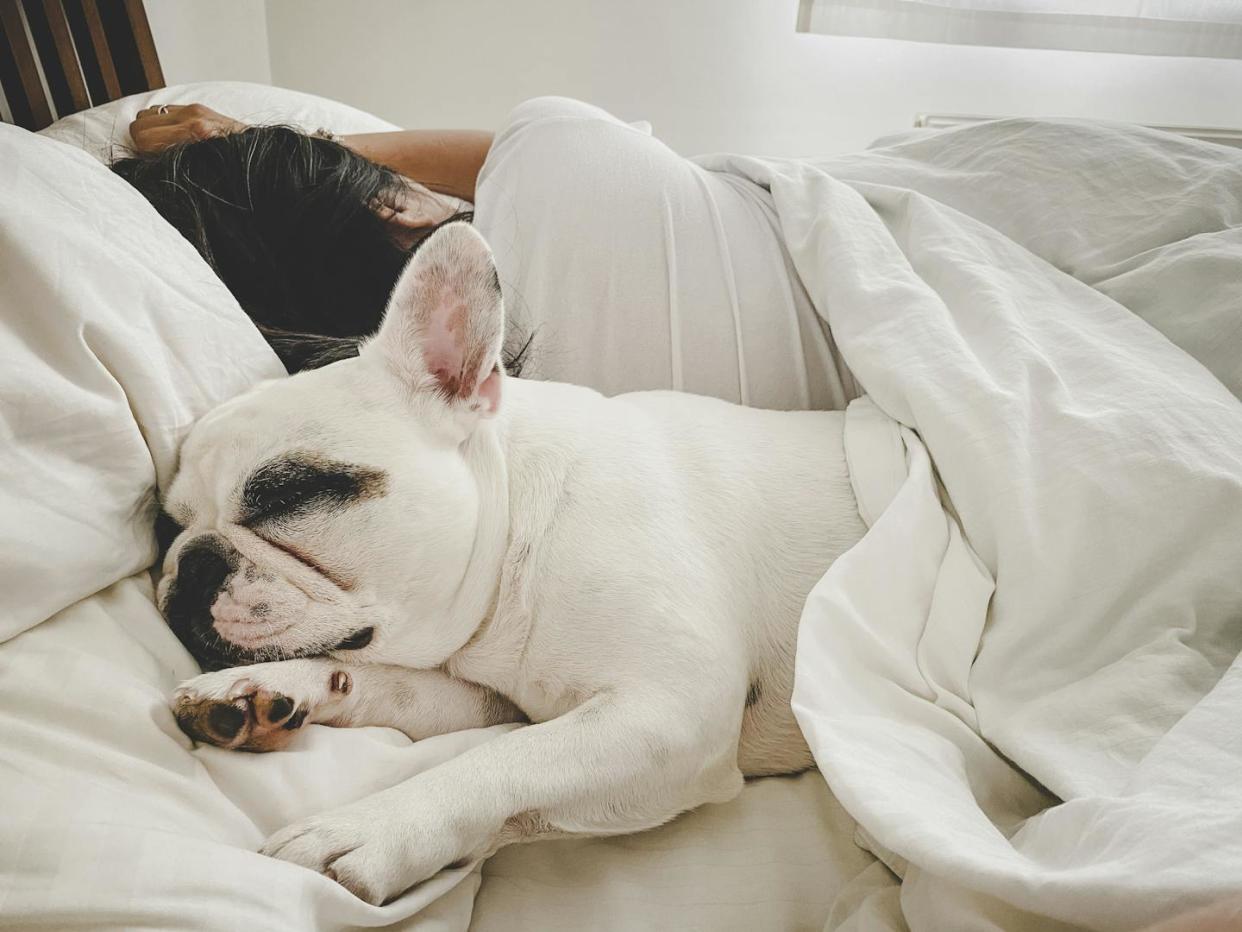 Your dog may not be the best sleep partner. <a href="https://www.gettyimages.com/detail/photo/woman-sleeping-with-dog-in-bed-royalty-free-image/1331114307" rel="nofollow noopener" target="_blank" data-ylk="slk:gollykim/E+ via Getty Images;elm:context_link;itc:0;sec:content-canvas" class="link ">gollykim/E+ via Getty Images</a>