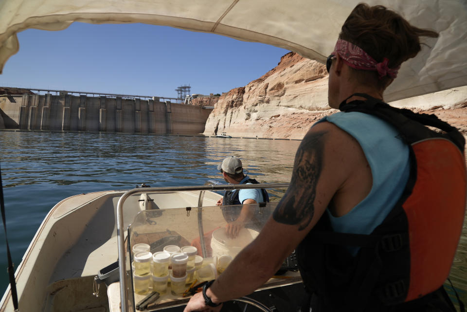 Utah State University master's student Barrett Friesen steers a boat near Glen Canyon Dam on Lake Powell on Tuesday, June 7, 2022, in Page, Ariz. The dam's completion in 1963 was a primary reason the humpback chub nearly died out in the Colorado River they had inhabited for millions of years. (AP Photo/Brittany Peterson)