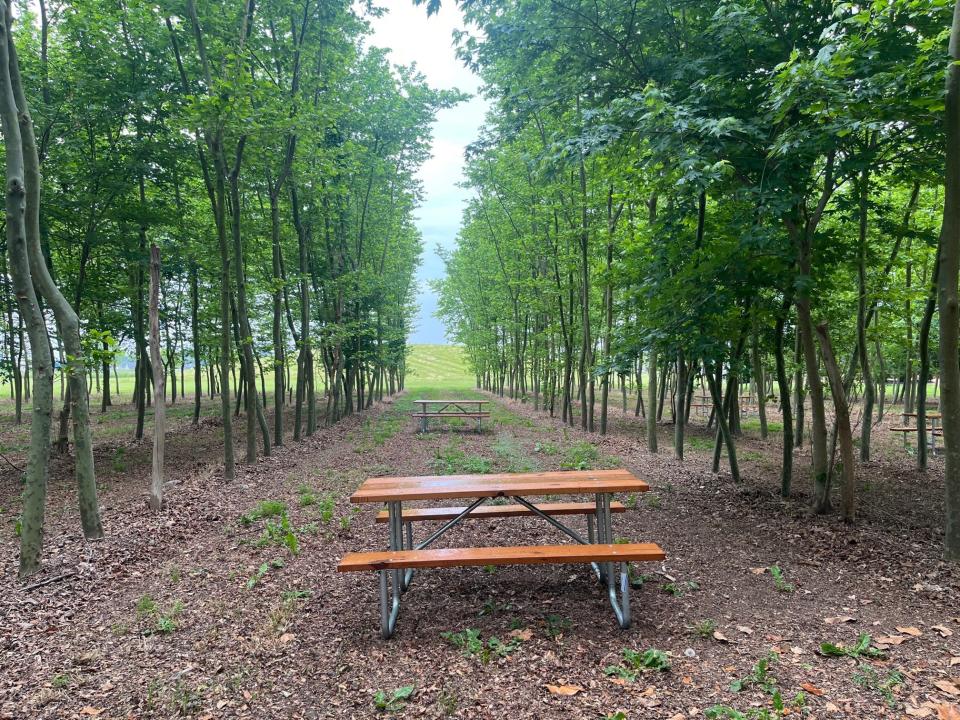 A bench for wine tasting at Nassau Valley Vineyard in Lewes, the oldest active winery in Delaware, on May 13, 2023.