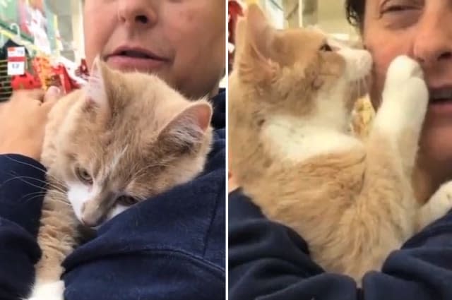 When this cat realises he's finally been adopted, he reacts in the most beautiful way