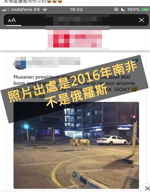 近日網友瘋傳俄羅斯放獅子出來遊蕩的照片，已經被證實為謠言。（圖／翻攝自台灣事實查核中心臉書）