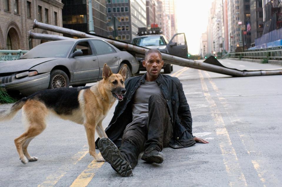 A man and his dog stare incredulously in an abandoned city street