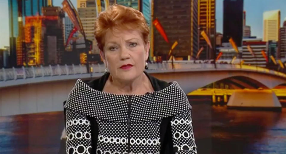 One Nation leader, Pauline Hanson (pictured) on Sky News