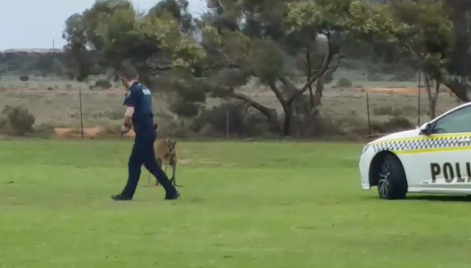 The officer eventually destroyed the injured animal, a police spokesperson said. Image: Facebook/Rob Oswald