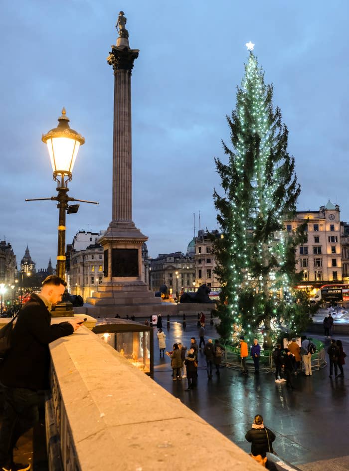 The Trafalgar Square Christmas Tree