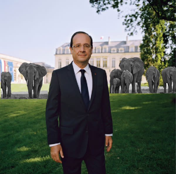 C'est finalement François Hollande qui s'est imposé en véritable patron des Elephants.