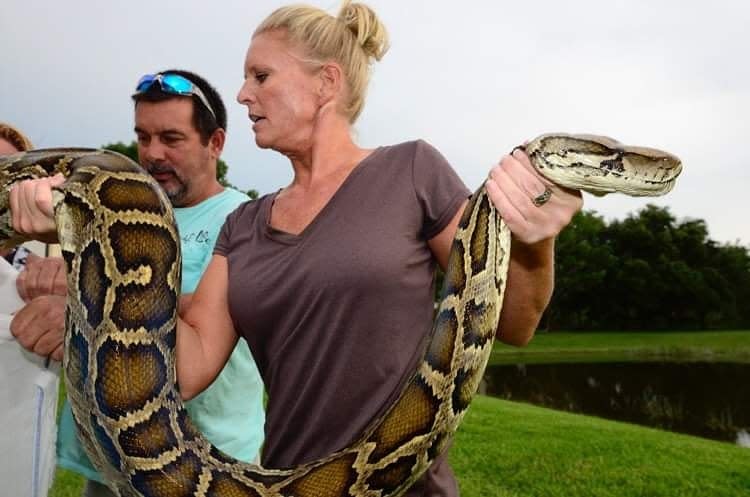Amy Siewe handles an 11-foot 3-inch long Burmese python she captured in February 2021 in Florida.