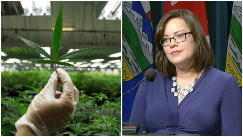 AUPE endorses government-operated marijuana retail stores