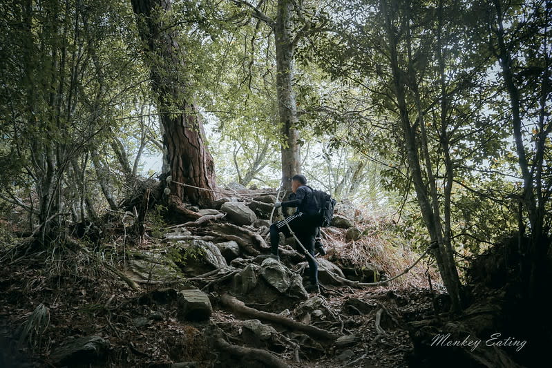 谷關七雄｜波津加山