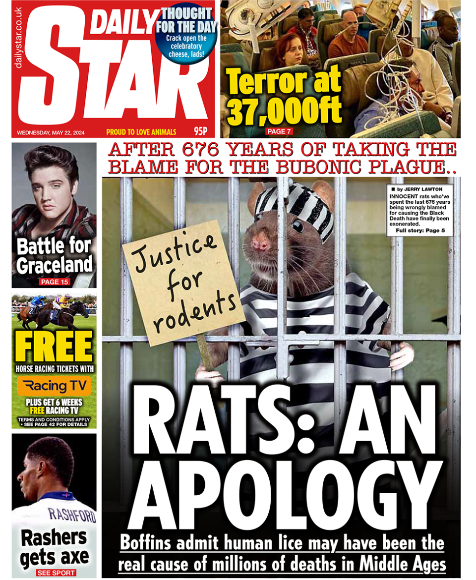 A mockup of a rat in jail features on the Daily Star front page 