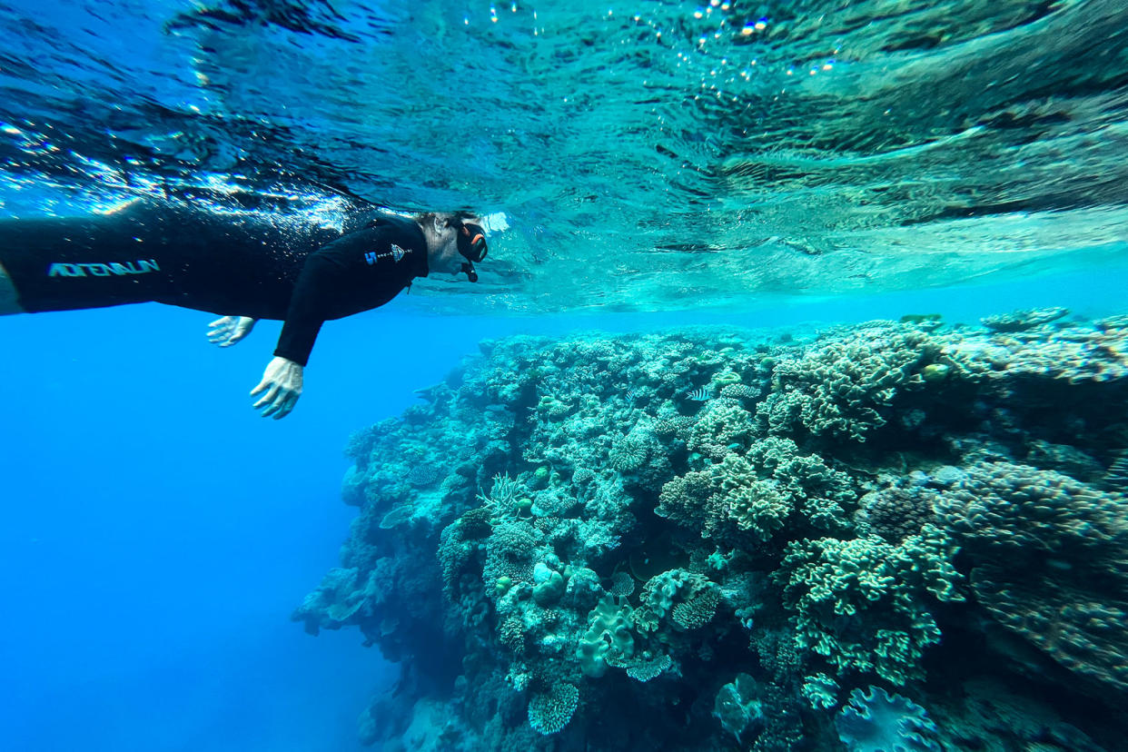 Great Barrier Reef Coral Bleaching Michael Robinson Chavez/The Washington Post via Getty Images