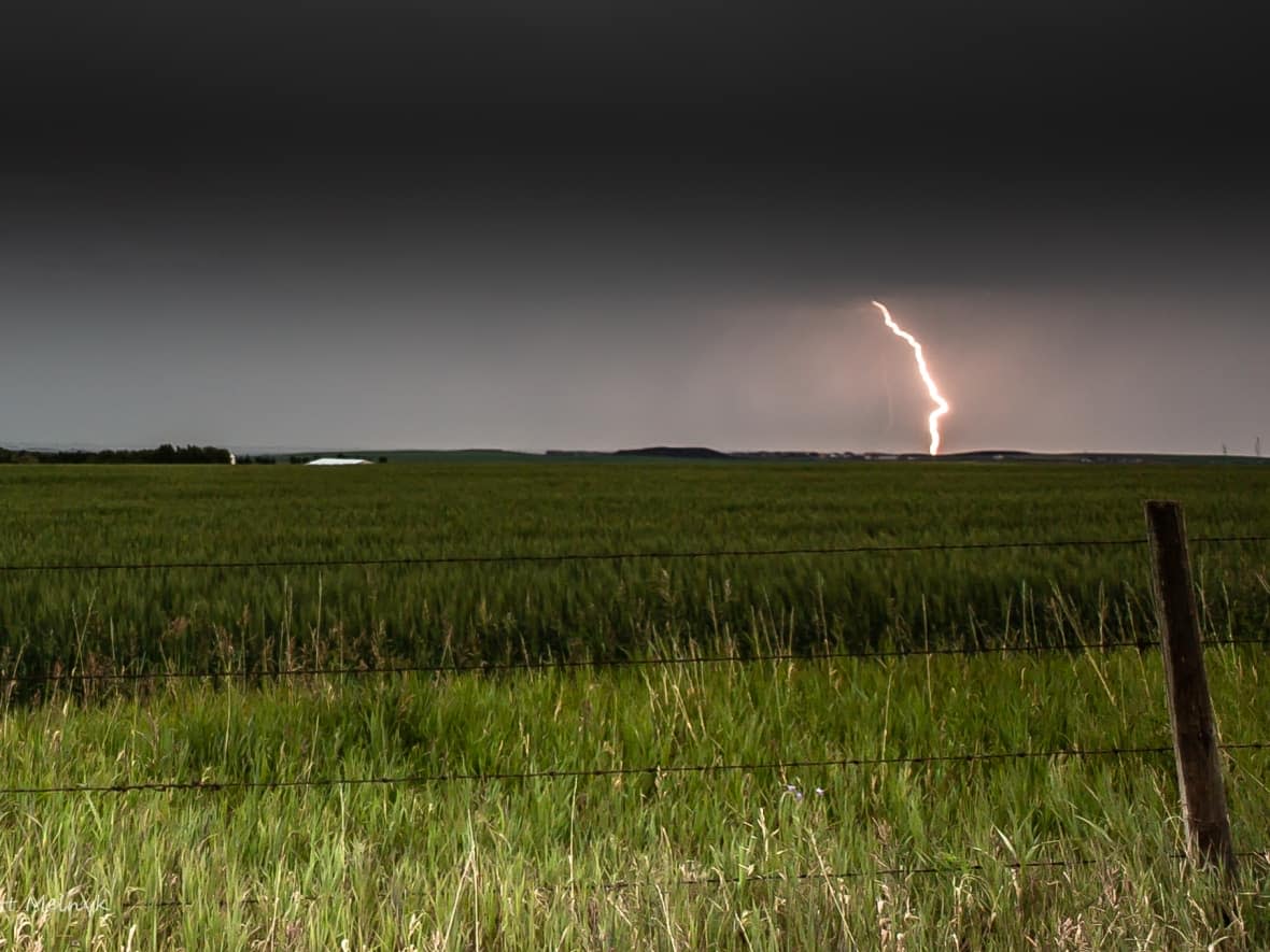 Environment Canada meteorologists are forecasting thunderstorms in the area, with a risk they could become severe. (Matt Melnyk - image credit)