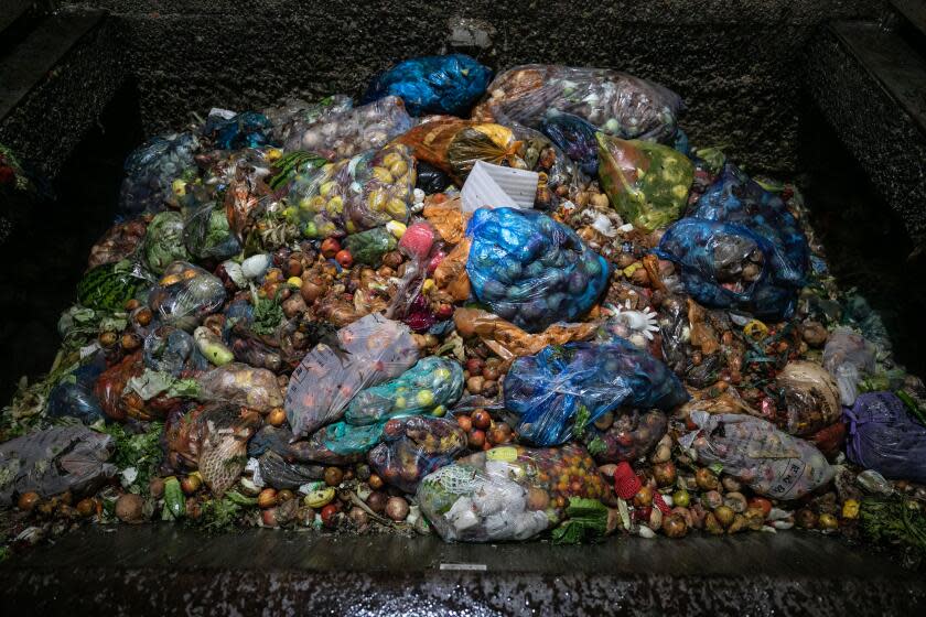 A pile of bagged food waste inside a dark hopper.