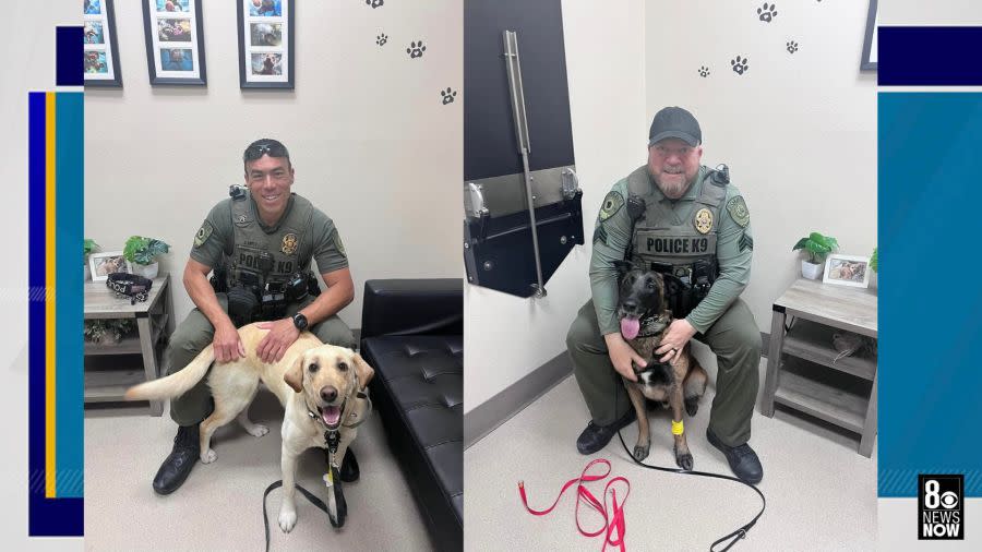 CCSDPD K9s Ace and Peppermint were released from a veterinary hospital Thursday morning. (CCSDPD)