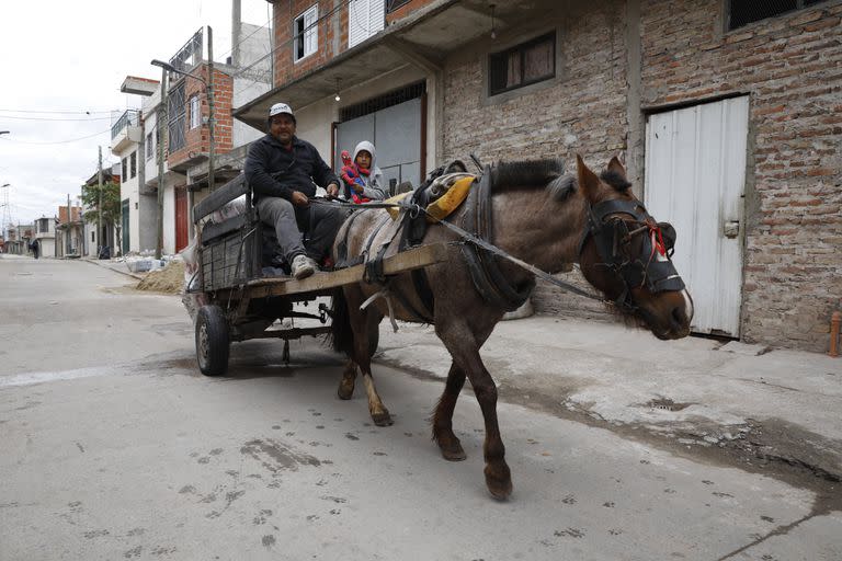 Juan Carlos Ibáñez, de 54 años, levanta la basura con su carro y un caballo en Lomas de Zamora