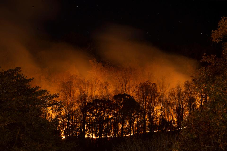 Brush fire burn near Rocky Top, Tenn. on Sunday, November 5, 2023.