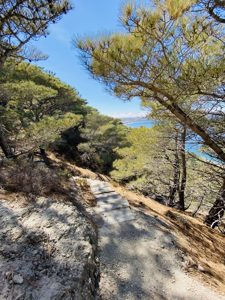 Channel Islands National Park is a (VERY) Wind-Swept Paradise