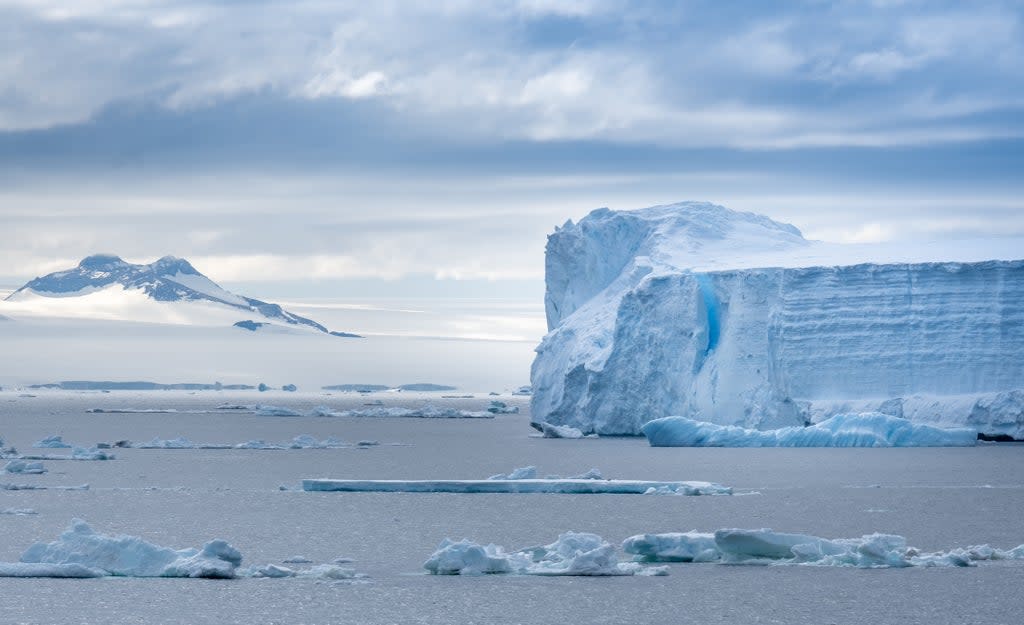 An early warning sign of the collapse of the West Antarctic Ice sheet would be a thinning of the mighty Ross ice shelf (Getty)