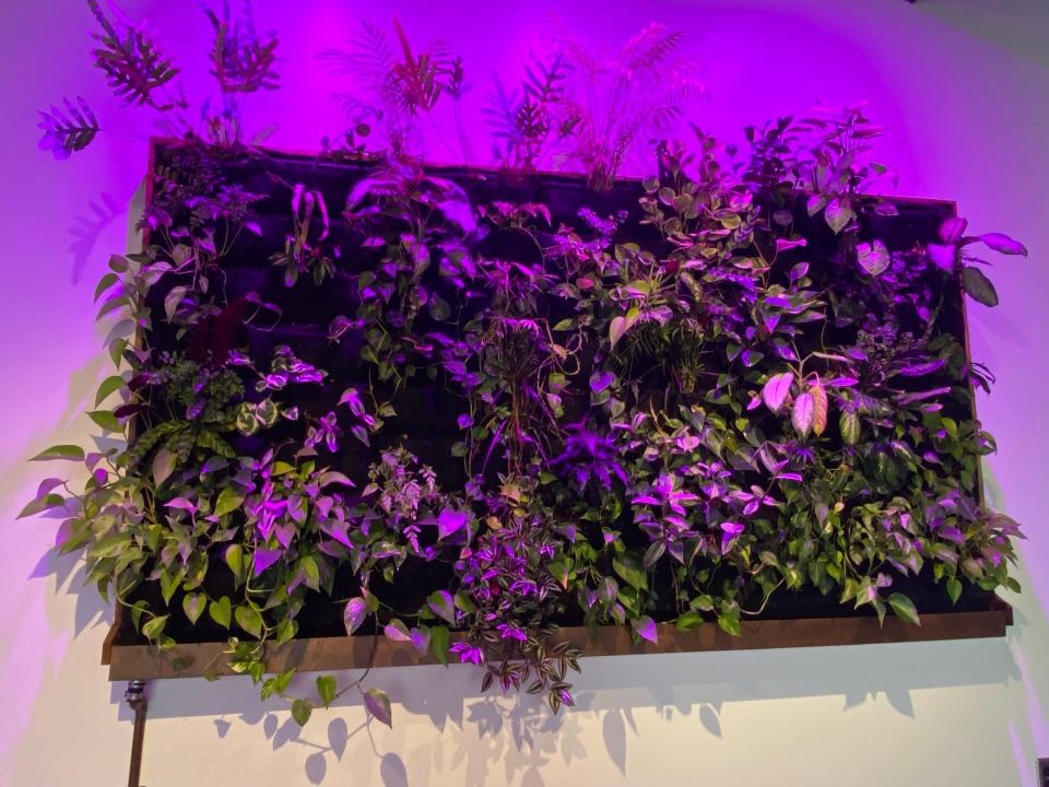 A live plant exhibit in the Bakery District is part of the permanent collection developed by Bill Hanna, president of Hanna Oil and Gas and owner of The Bakery District.