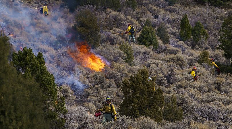 Leah Hogsten/The Salt Lake Tribune via AP