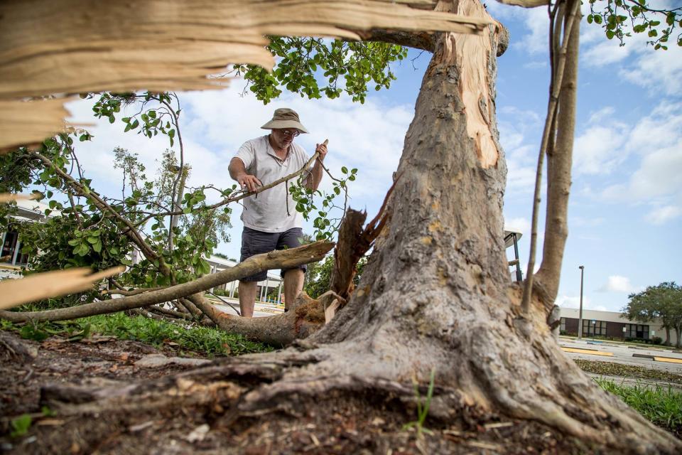 Wellington High School principal Mario Crocetti removes a damaged tree in the parking lot of the school after Hurricane Irma hit the area.