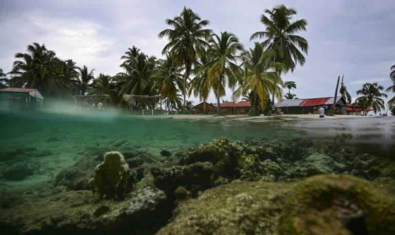 Turistas disfrutan en la Isla del Diablo en el archipiélago de Guna Yala, en Panamá, el 23 de mayo de 2024. (MARTIN BERNETTI)