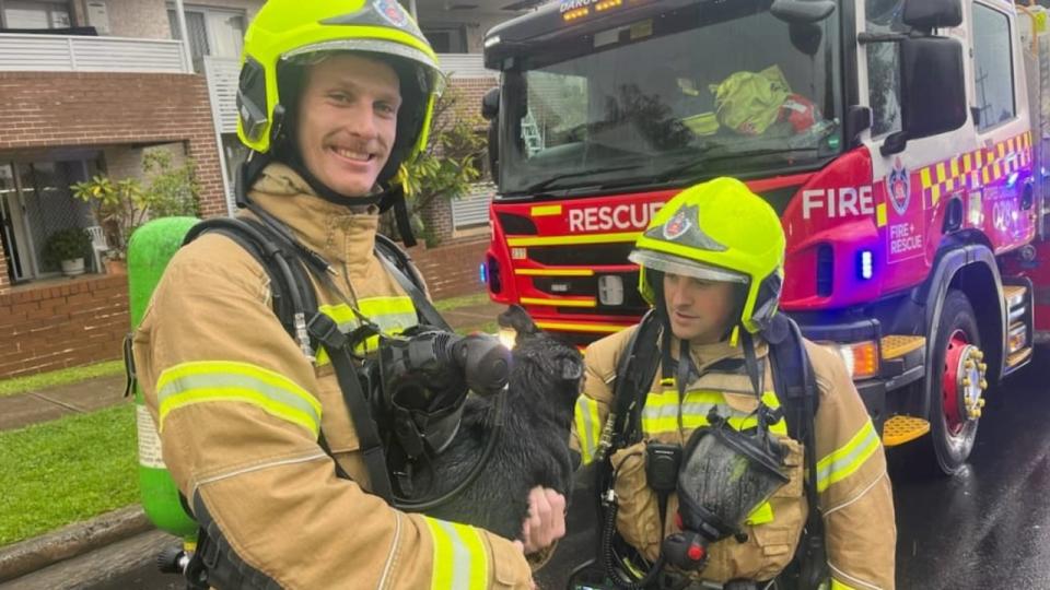 A dog has been rescued from the rubble of an exploded Sydney unit. Picture: FRNSW