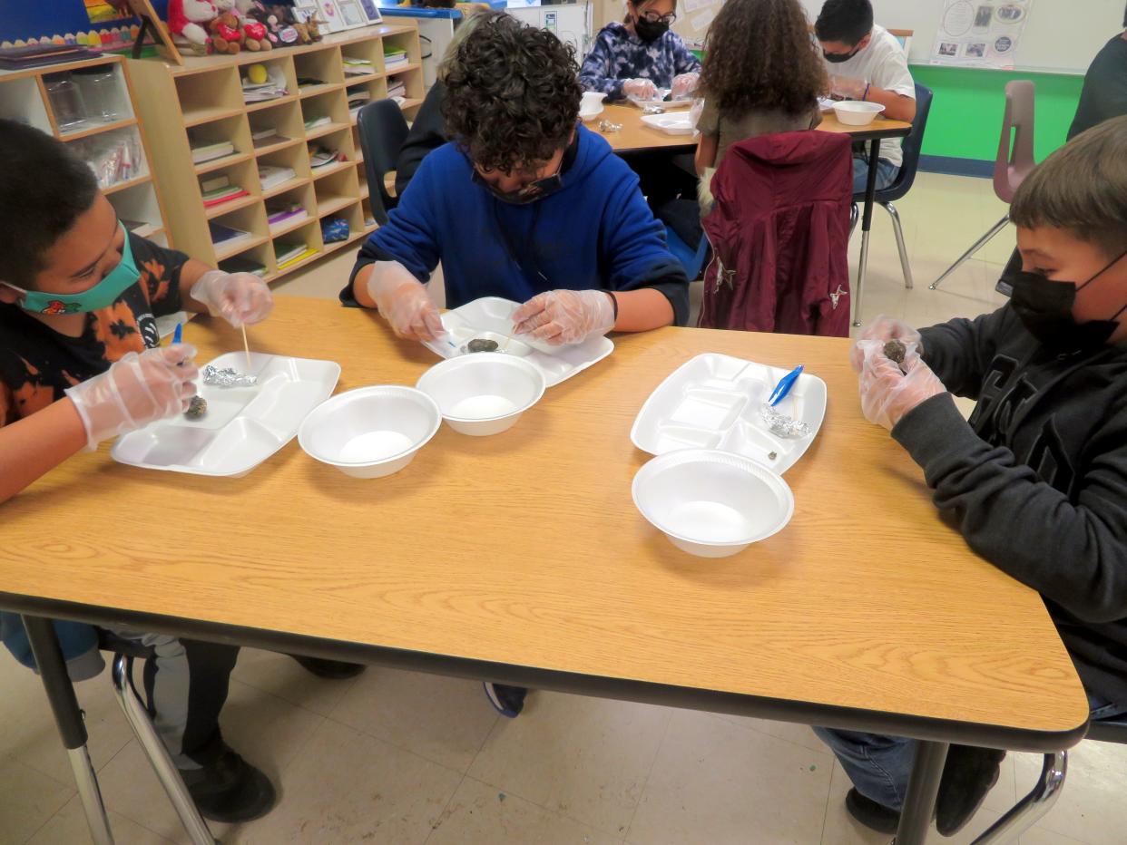 The students in Simms' Noriega's and Perea's classrooms each dissected an owl pellet and identified the bones of the rodents inside the pellets the owl's had consumed.